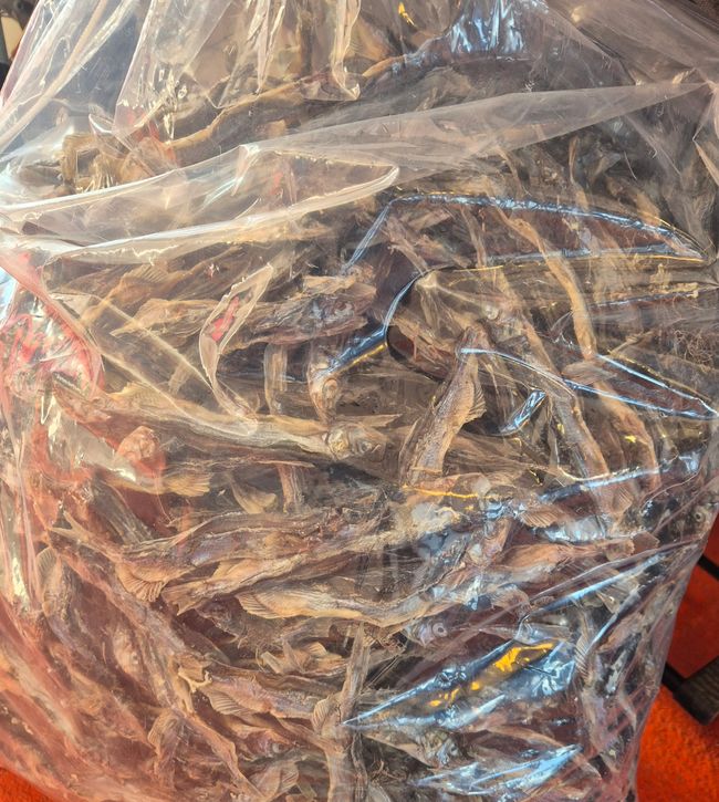 Getrockneter Fisch als Snack. Die Mitreisenden haben vorgesorgt!