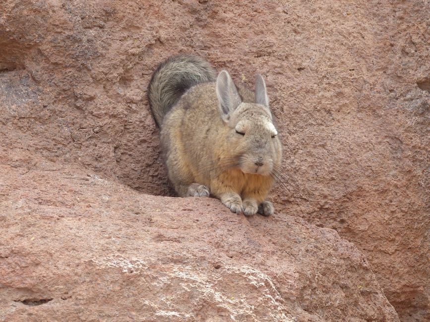Chile, San Pedro de Atacama