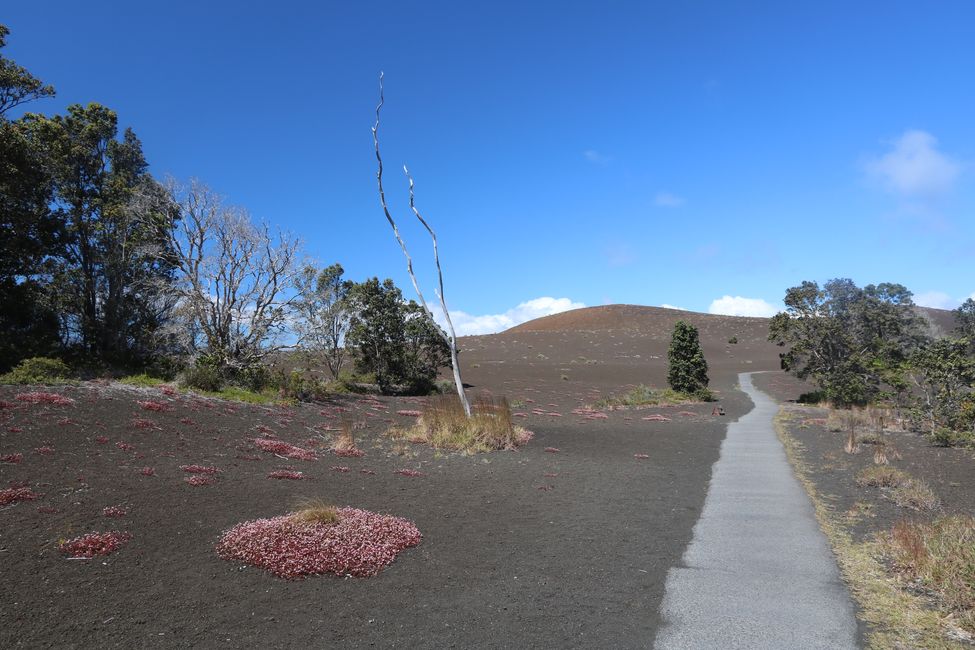 Wir besuchen den Kilauea Vulkan