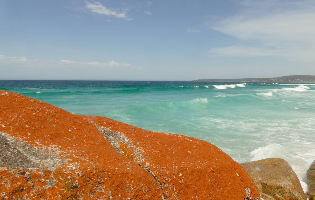 - Singapur & Tasmania 2019 -