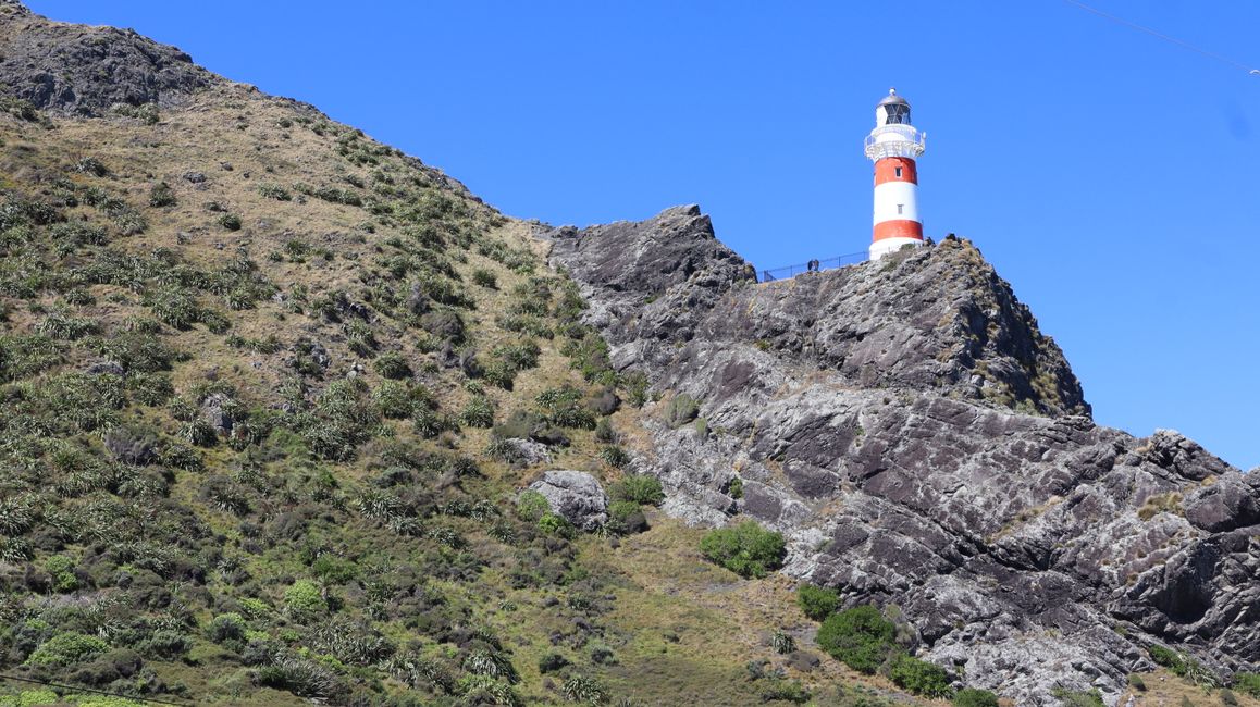 Cape Palliser Lighthouse