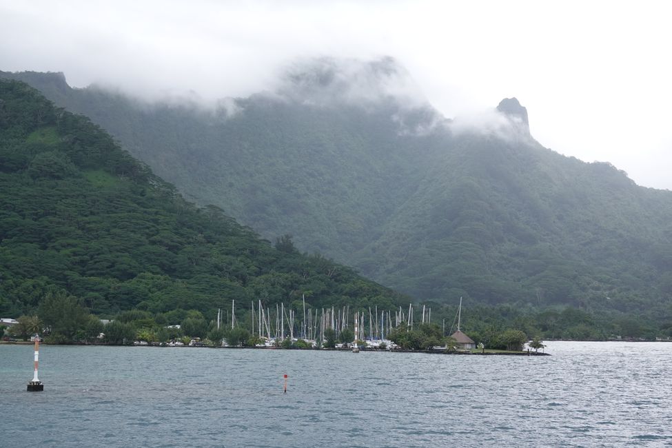 Moorea ....