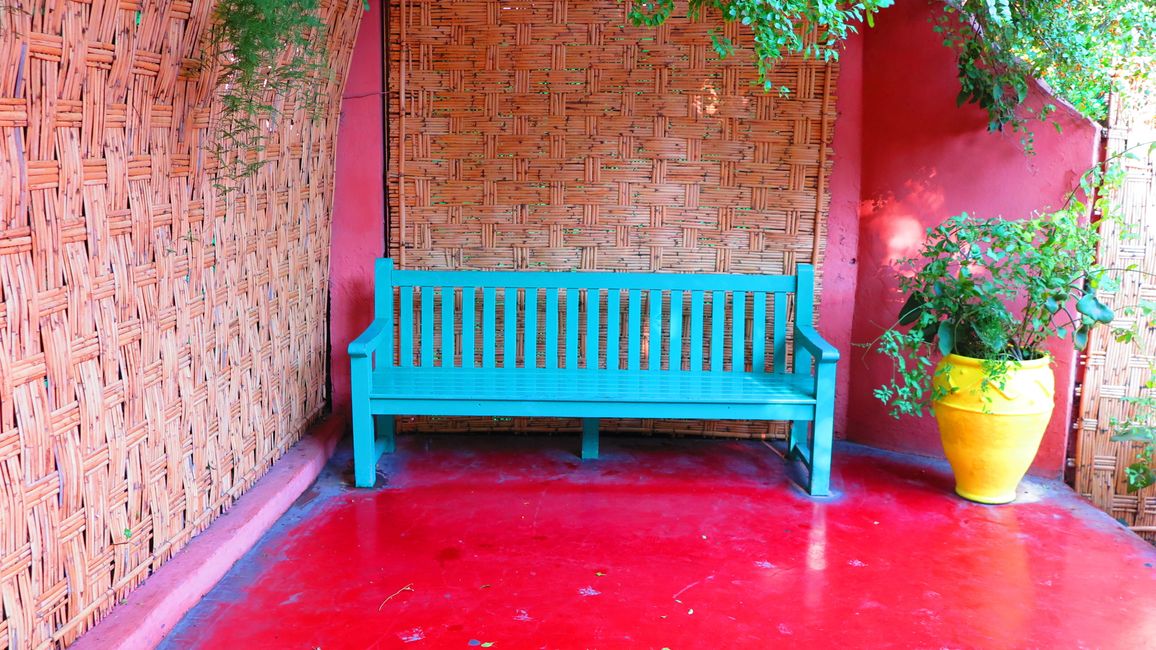 The Jardin Majorelle is a feast for the eyes.