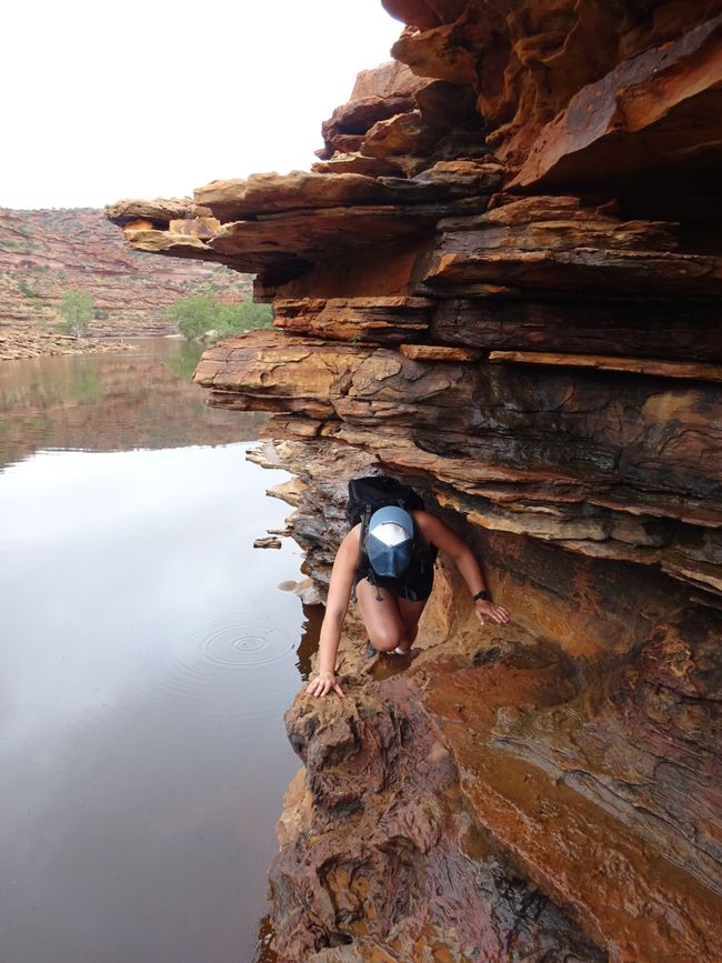 Marion climbing on the Nature Loop