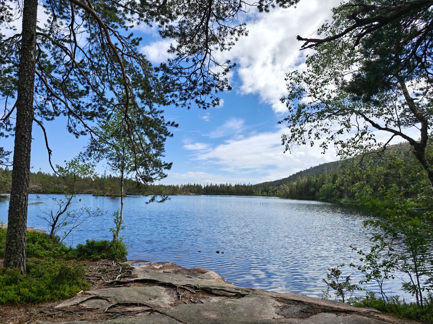Parque Nacional Skoleskogens