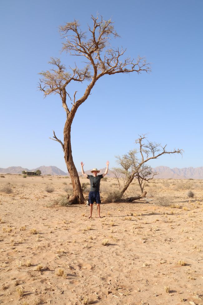 Desierto de Namibia 🏜️