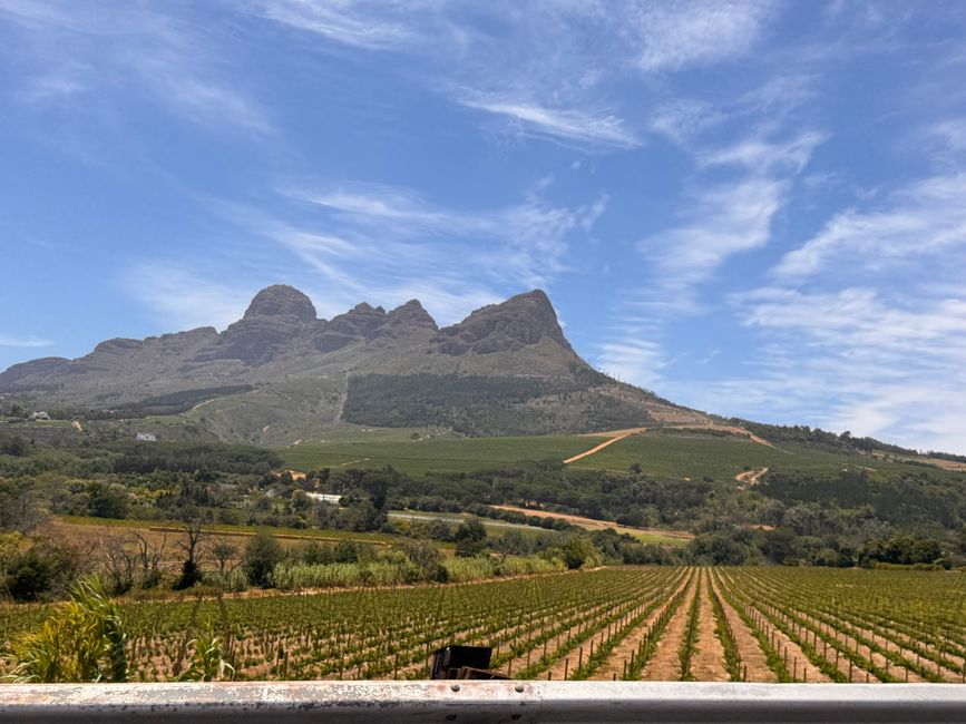 Afrique du Sud🇿🇦 Semaine 1