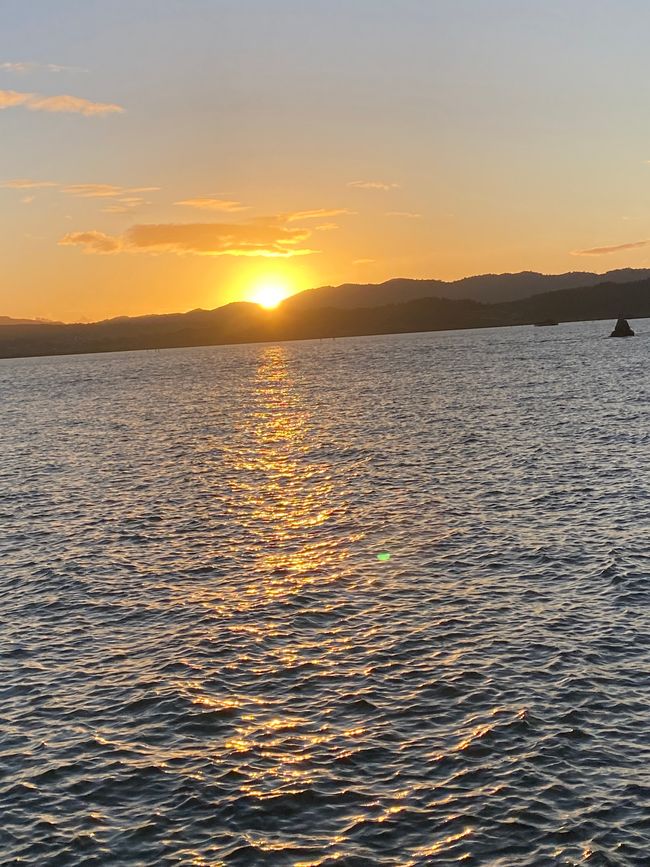 De whangarei à auckland