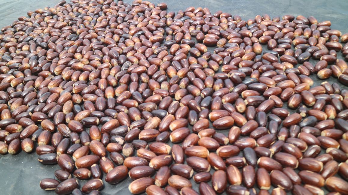 Sing Key Beach – Saleman – Seram Island – Molukken – Indonesien