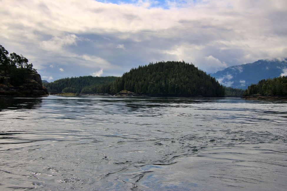 Seasmoke Whale Watching Tour