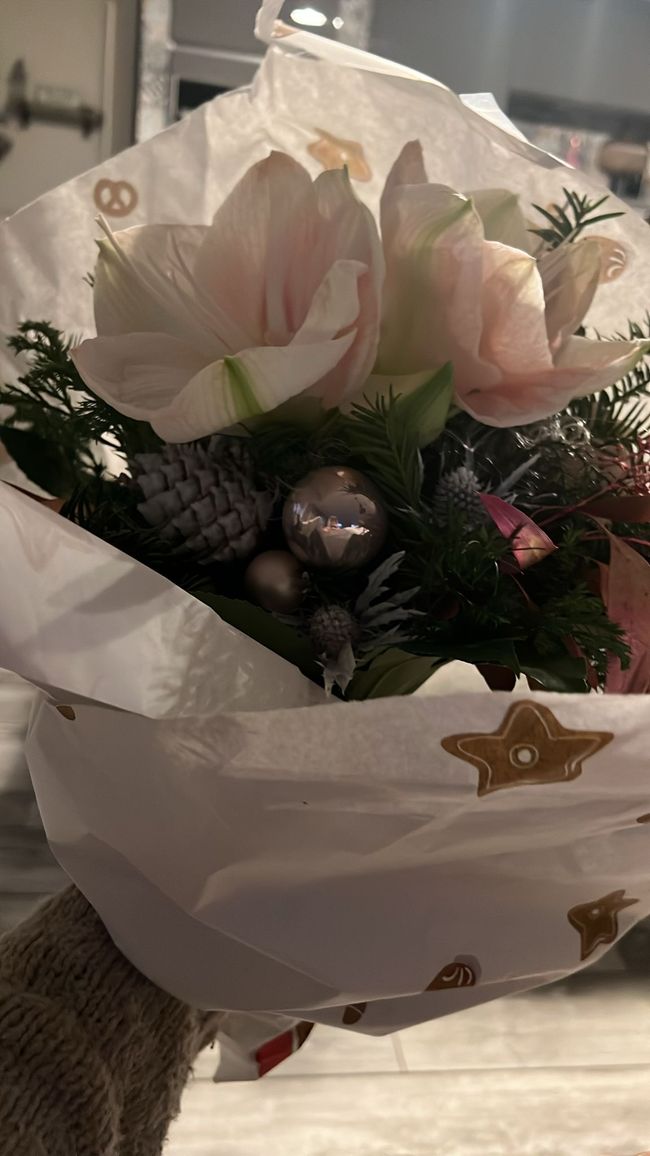 Bibo vergesse ich nicht ❤️