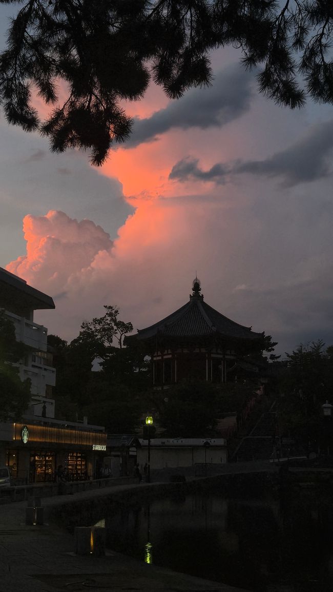 Die letzte Woche in Nara 😢🫠