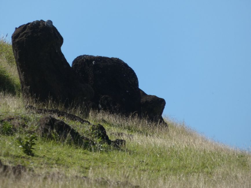 Isla de Pascua, día 1