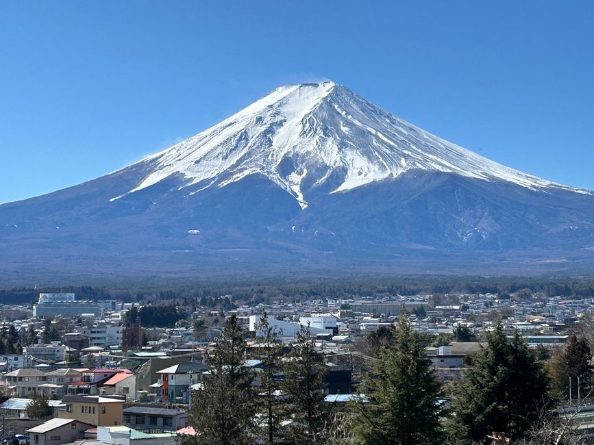 Fujikawaguchiko - Day 4-5
