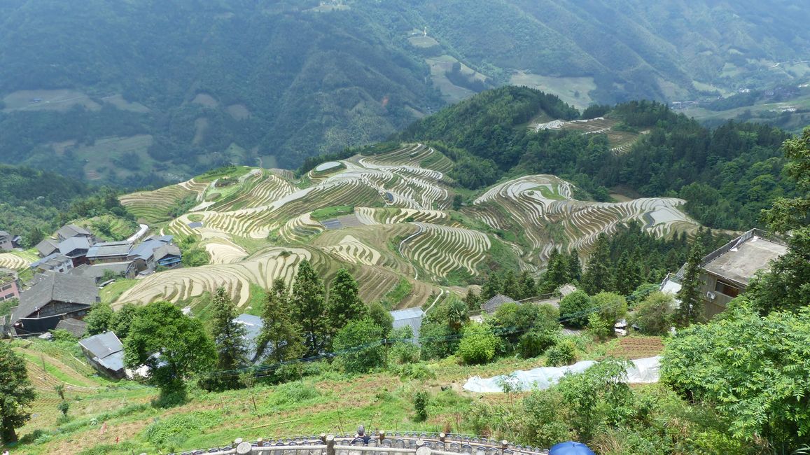 25. Mai Reisterrassen von Longsheng