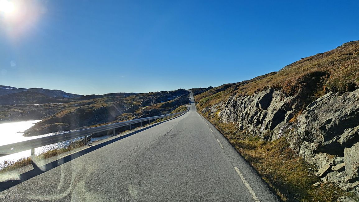 Ruta