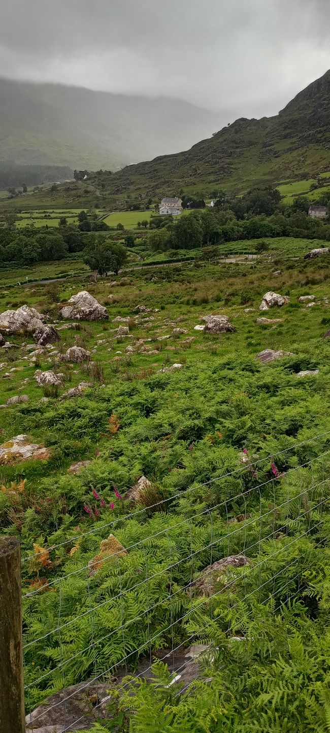 Green, green, green is Ireland