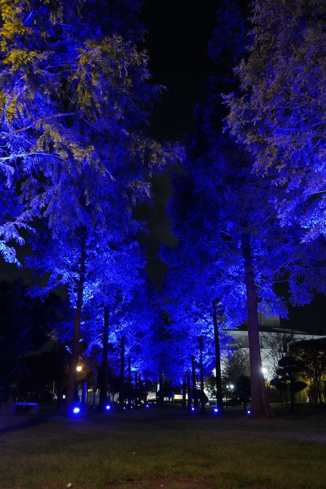 Jardín de luz