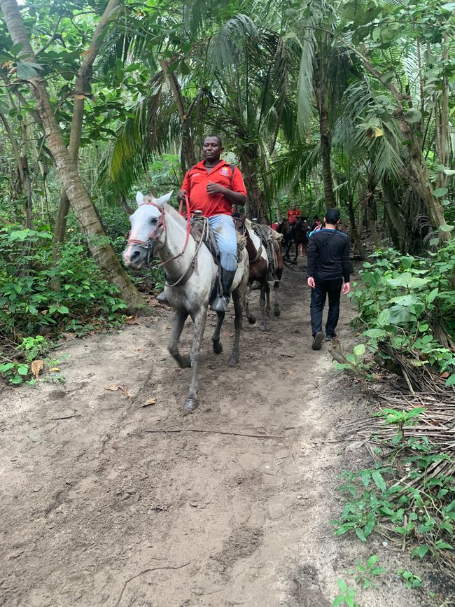 Tag 13: Parco Tayrona f7f9