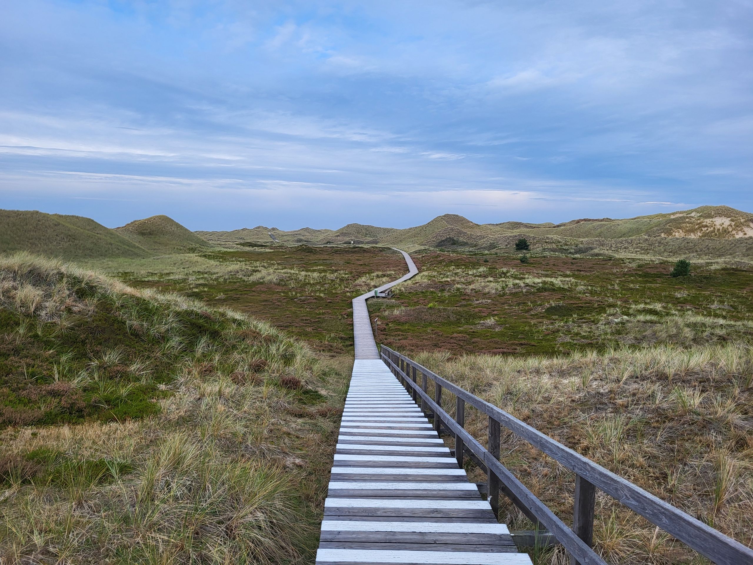 Sentier à travers les dunes
