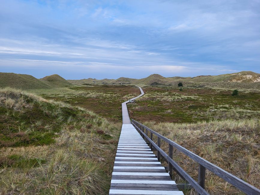 Dunes sur Amrum