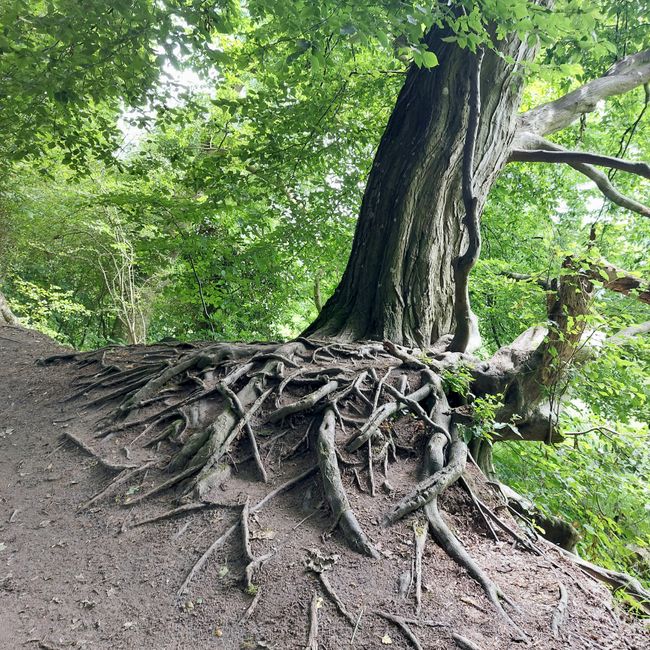 Südschweden-Tour  - Tag 28