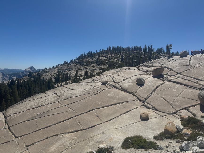 Yosemite National Park