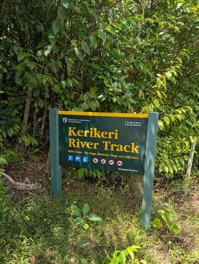 A rainbow doesn't choose to be a rainbow...