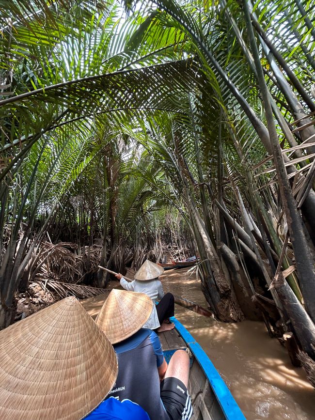 Delta del Mekong (tour guiada)