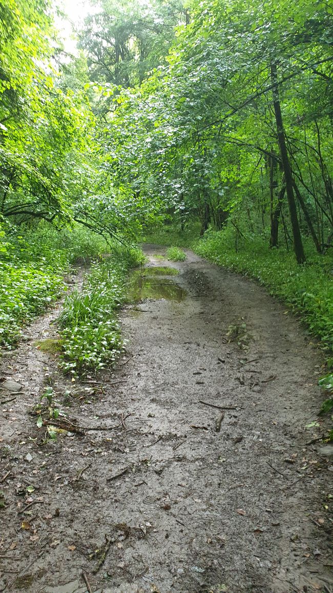 Wanderung nach Faverges