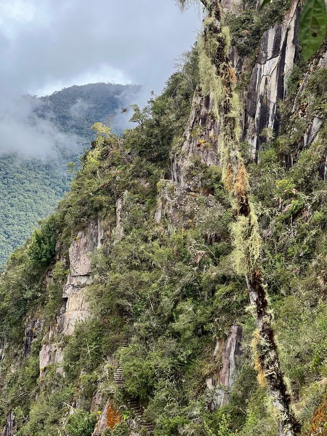 👷‍♂️标签 31-1 (3.11.) 马丘比丘，登上惠纳比丘山