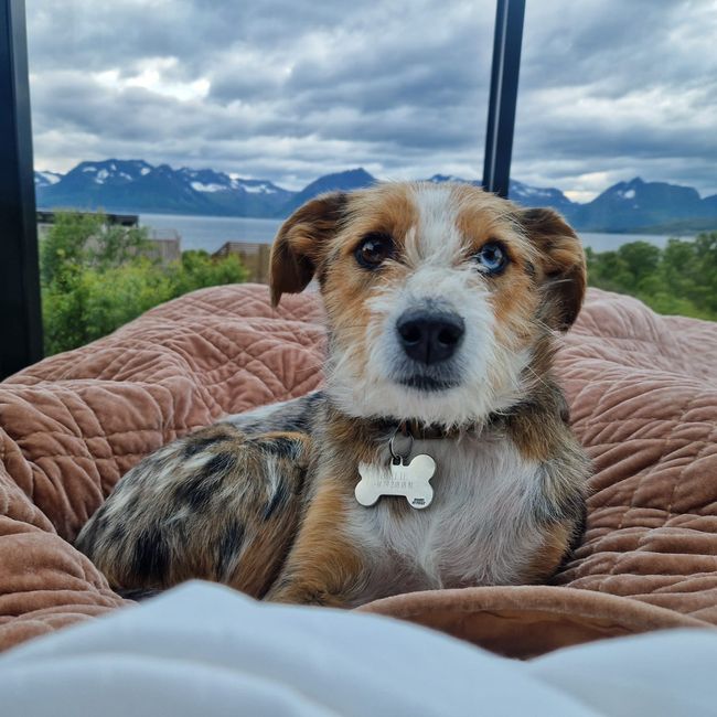 Time Out / Glamping