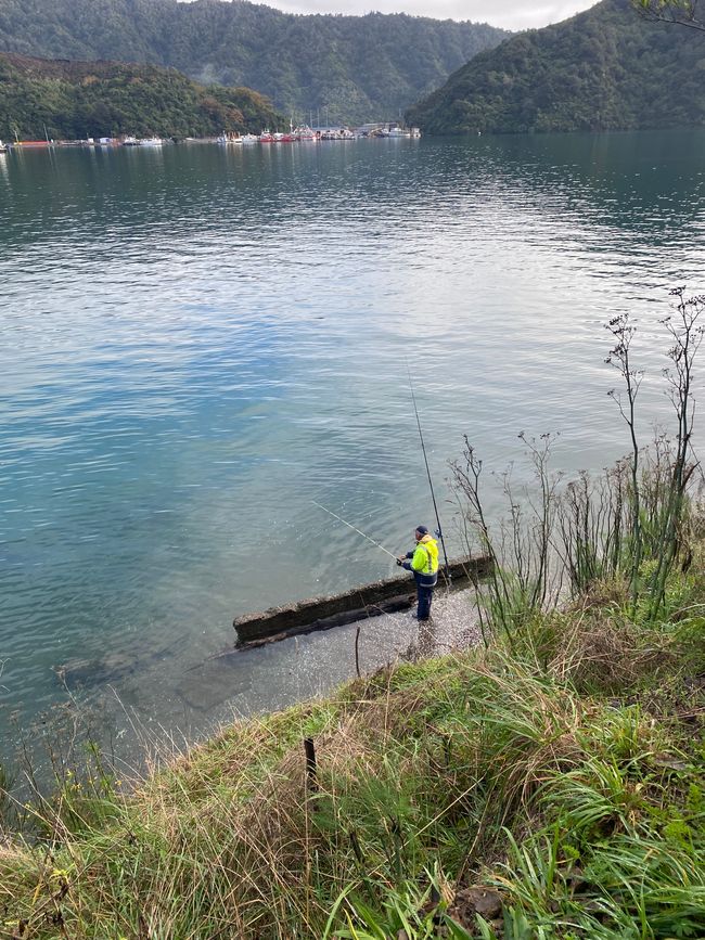 Off to the North Island