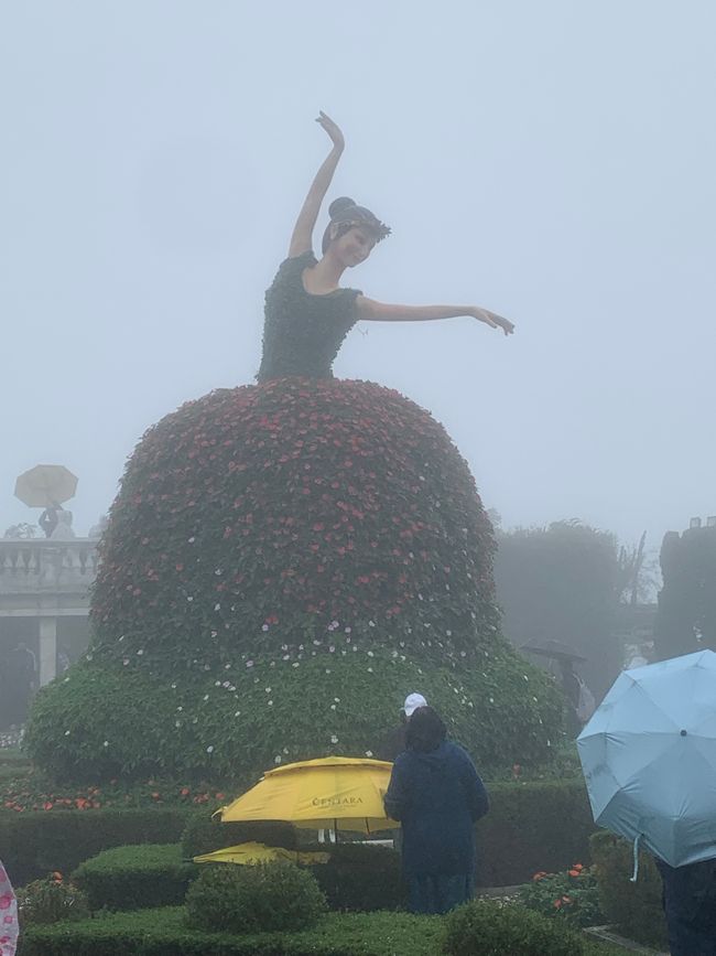 Tag 6 - Hoi An : Un Licorne Endormi et une Aventure dans le Brouillard