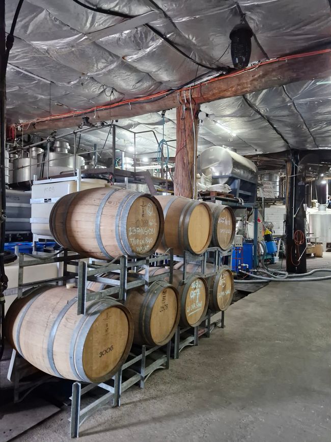 Wein"keller" - Halterungen sind in den Zementboden eingelassen. 