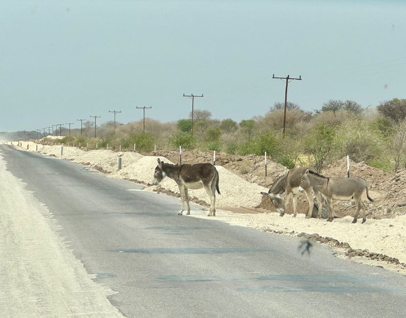 Good Bye Namibia