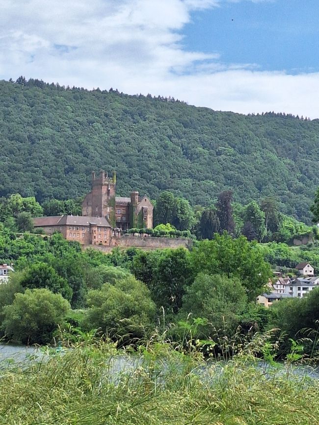 Mittelburg