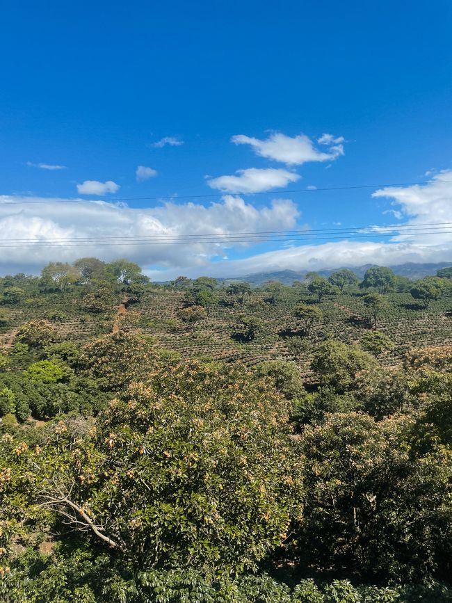 La Fortuna es español y significa "la suerte" 🌋