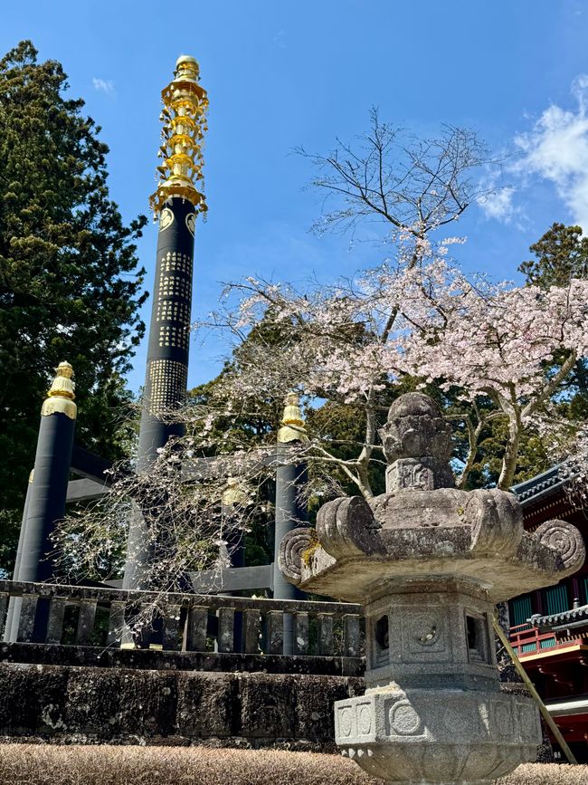 Parte 7
BENVENUTO IN GIAPPONE 🇯🇵
TOKYO