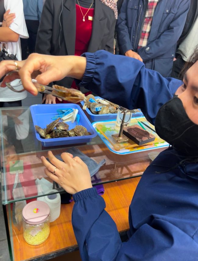 Tag 3 - Hanoi: Glitzereinhörner, Affen und die Kunst der Perlenzucht