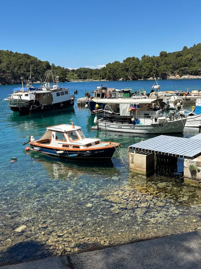 Impressions from the island of Lošinj