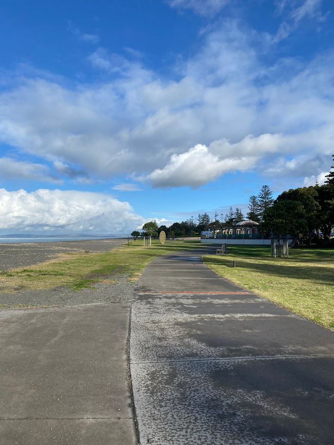 Napier Beach Walkway