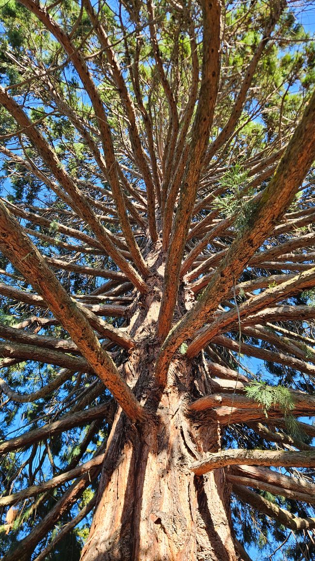 Arrowtown - Queenstown