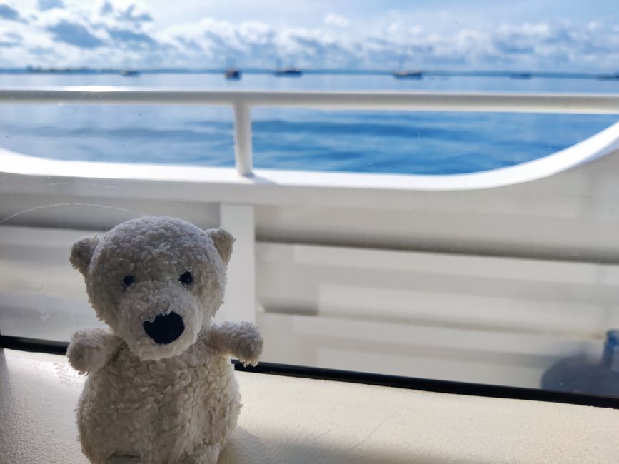 Travis auf Tauchsafari in Raja Ampat