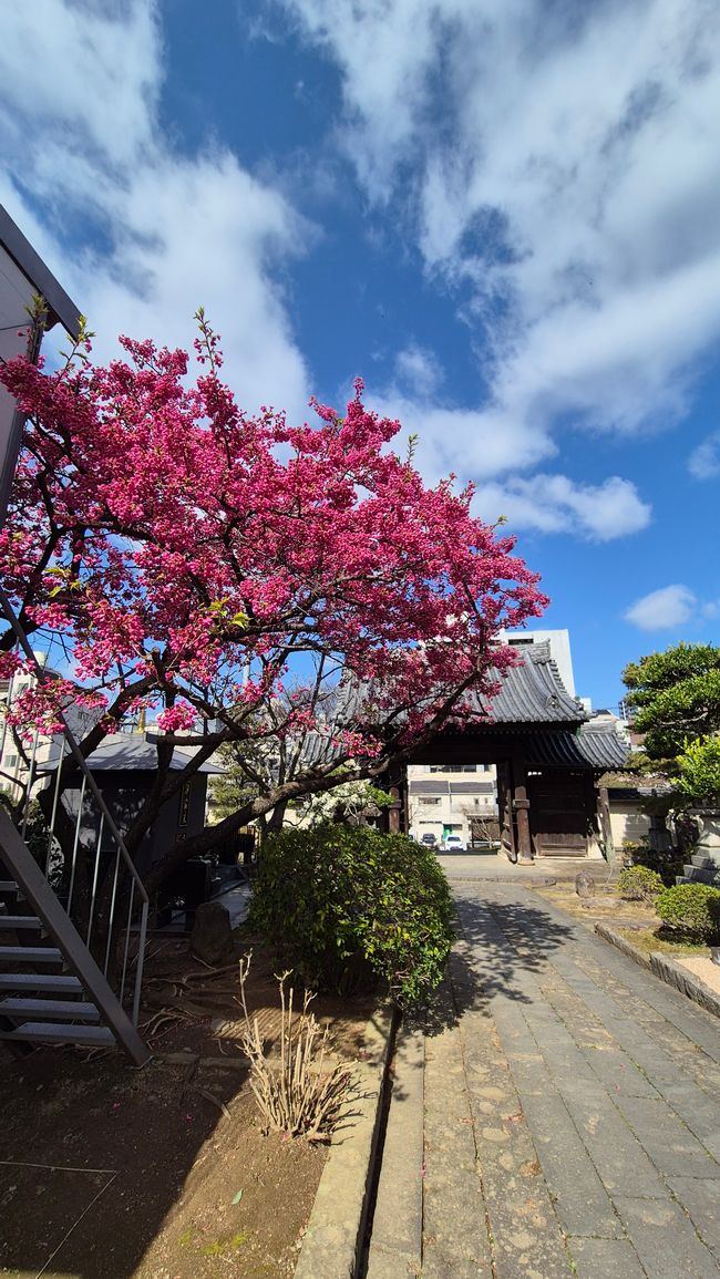 Nagasaki ist toll 🥰