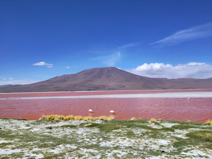 San Pedro und Co.: Wüste, Lagunen und ganz viel Salz 