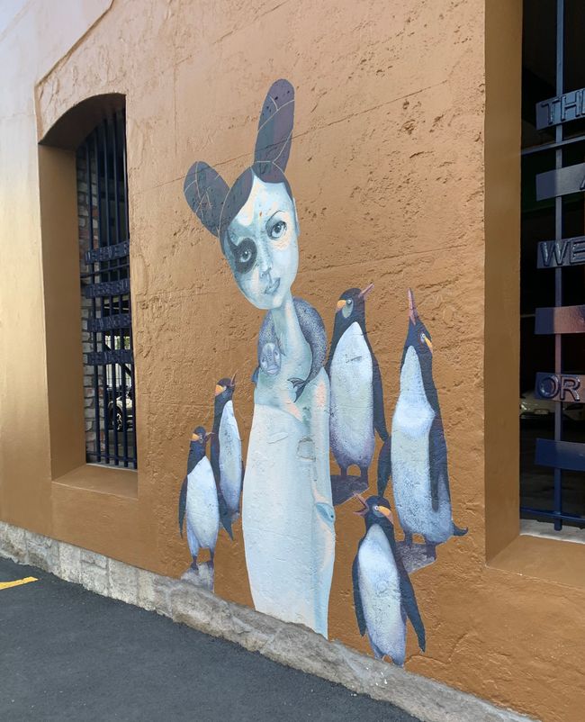 Dunedin and Taiaroa Head