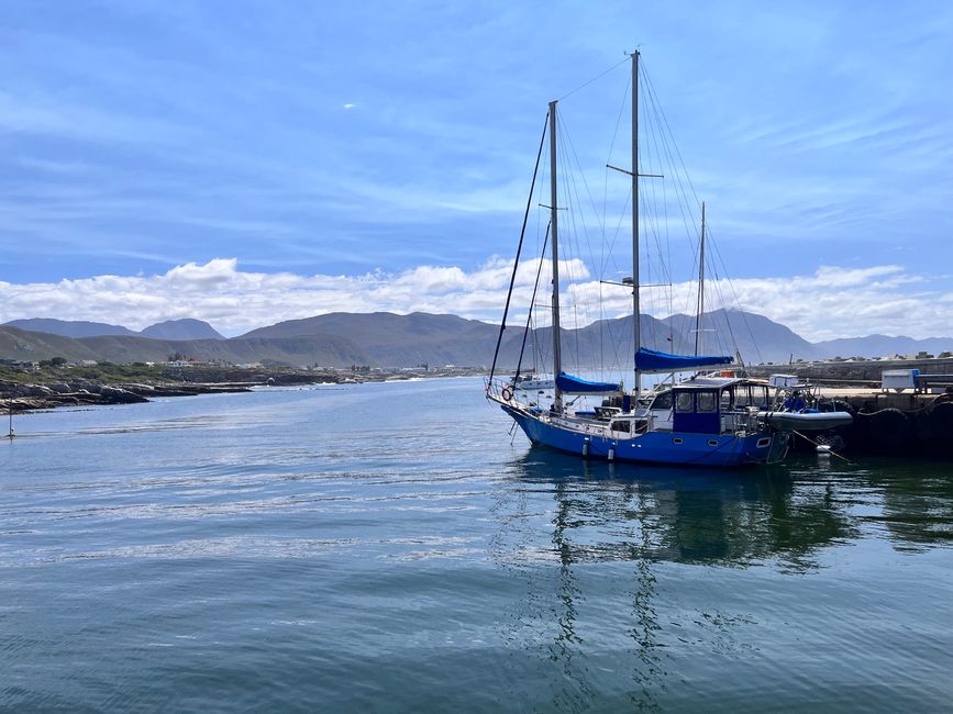 Hermanus