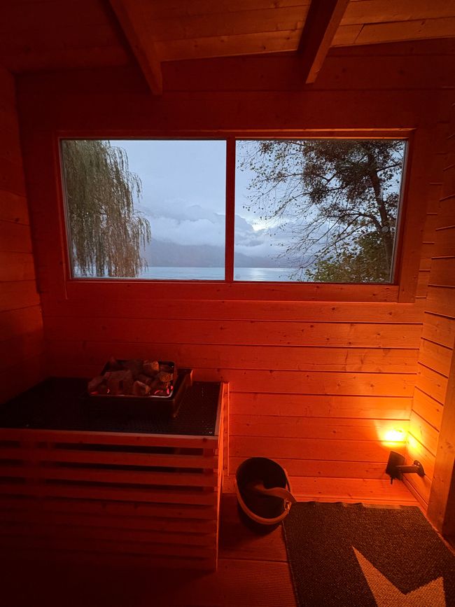 sauna insight view