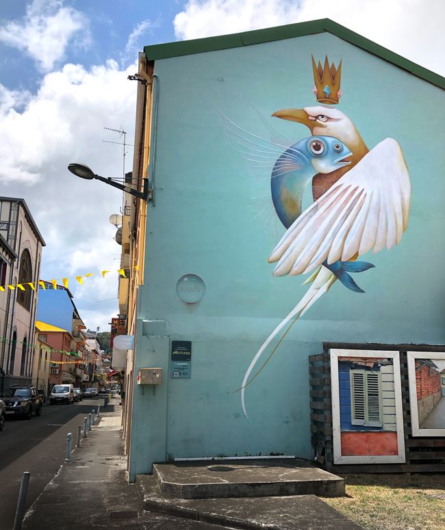 Die Meerestiere und Vögel sind in der Karibik geschützt.